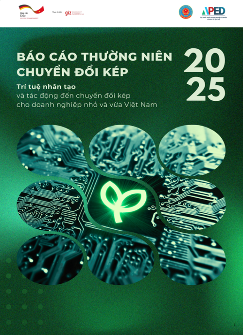 Trí tuệ nhân tạo (AI) và tác động đến chuyển đổi kép cho doanh nghiệp nhỏ và vừa Việt Nam - Ảnh 1.