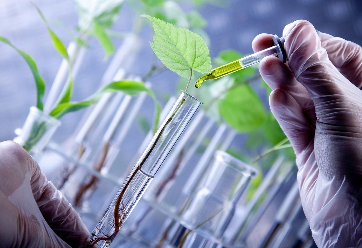 Inovația în biotehnologie, o nouă speranță pentru agricultura vietnameză - Fotografia 2. Đổi mới công nghệ sinh học, hy vọng mới cho nông nghiệp Việt Nam- Ảnh 2.