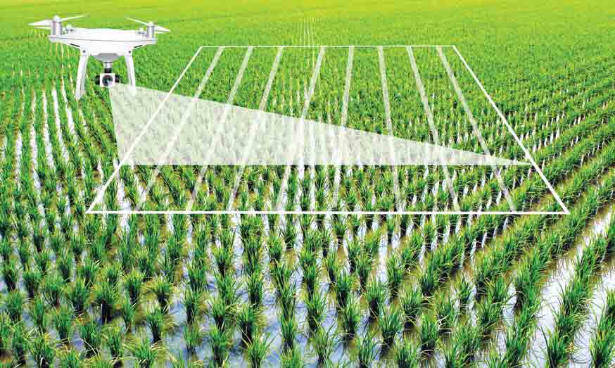 農業におけるデジタル変革はトレンドに追随できない - 写真 1。 Chuyển đổi số trong nông nghiệp không thể theo phong trào- Ảnh 1.