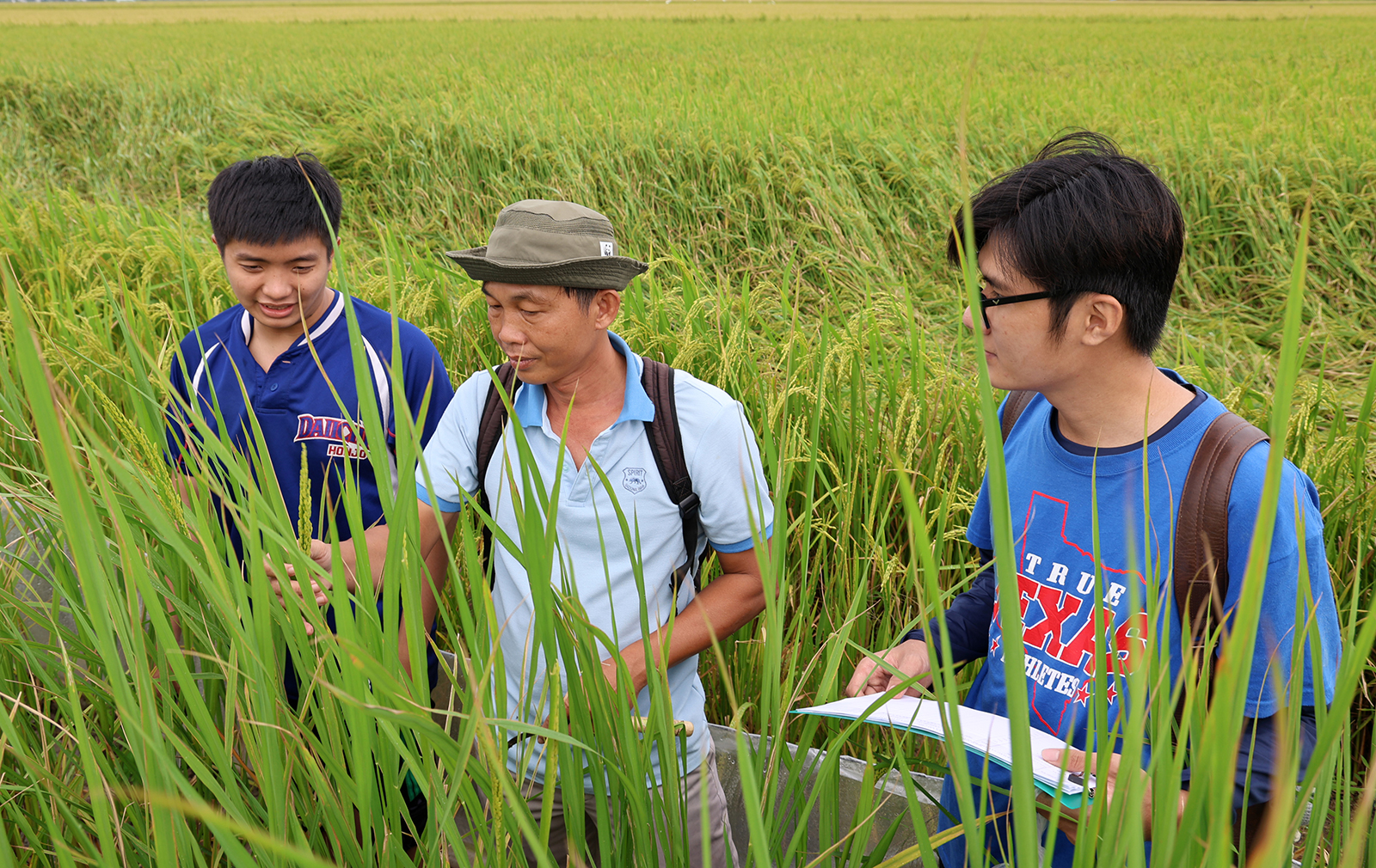 Nhà khoa học của nhà nông An Giang- Ảnh 1. Nhà khoa học của nhà nông An Giang- Ảnh 1.