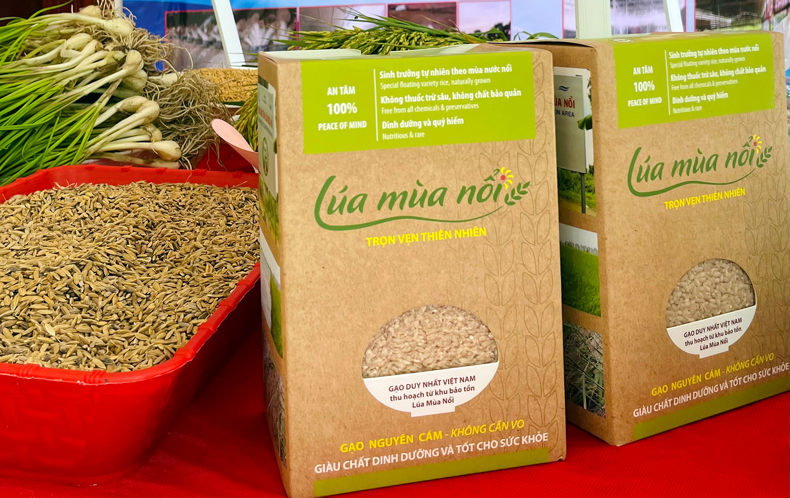 Nhà khoa học của nhà nông An Giang- Ảnh 5. Nhà khoa học của nhà nông An Giang- Ảnh 5.