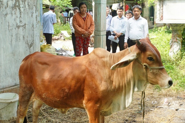 Huế đẩy mạnh giảm nghèo bền vững từ đổi mới sinh kế và ứng dụng chuyển đổi số- Ảnh 1. Huế đẩy mạnh giảm nghèo bền vững từ đổi mới sinh kế và ứng dụng chuyển đổi số- Ảnh 1.