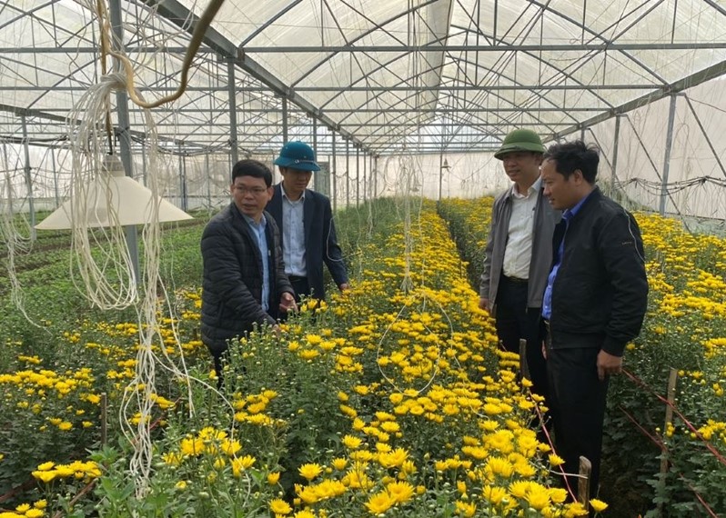 Nghệ An: Chung sức vì mục tiêu thoát nghèo bền vững- Ảnh 1. Nghệ An: Chung sức vì mục tiêu thoát nghèo bền vững- Ảnh 1.