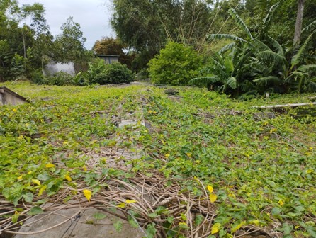 Phát triển kinh tế – nền tảng vững chắc cho xây dựng nông thôn mới nâng cao - Ảnh 2.