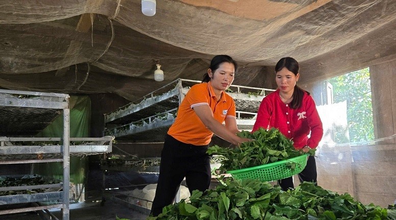 Giảm nghèo bền vững ở Lâm Đồng: Đổi mới từ nhận thức đến mô hình sinh kế- Ảnh 1.