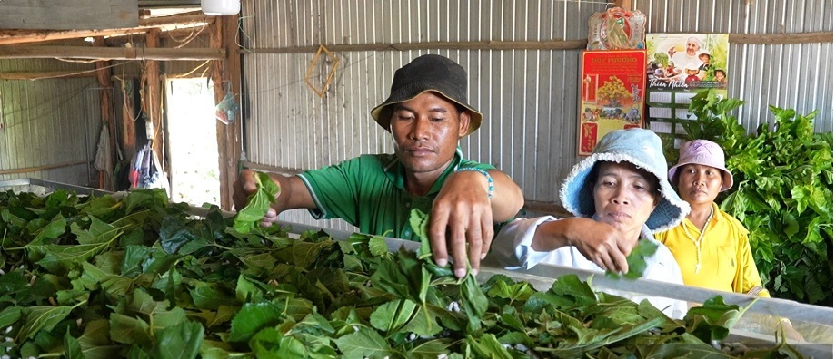 Giảm nghèo bền vững ở Lâm Đồng: Đổi mới từ nhận thức đến mô hình sinh kế- Ảnh 2.