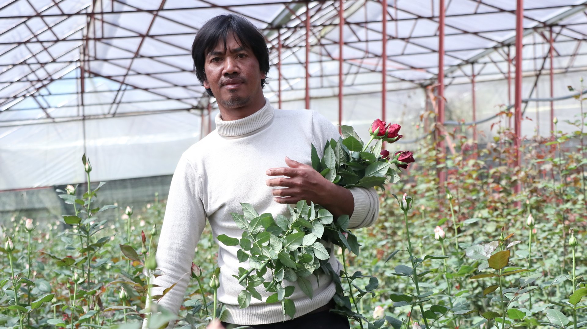 Lâm Đồng: Nhiều mô hình sinh kế hiệu quả tạo nền tảng giảm nghèo bền vững- Ảnh 2.