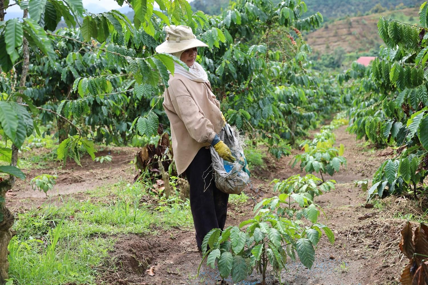 Chính sách hỗ trợ thiết thực tạo “bệ đỡ” vững chắc cho hành trình giảm nghèo ở Lâm Đồng- Ảnh 2. Chính sách hỗ trợ thiết thực tạo “bệ đỡ” vững chắc cho hành trình giảm nghèo ở Lâm Đồng- Ảnh 2.