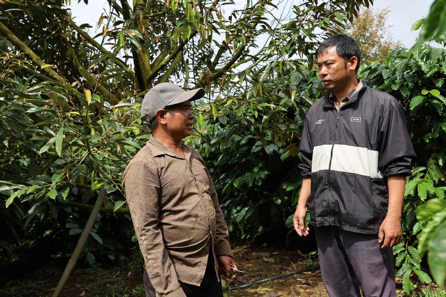 Đam Rông 2 chuyển mình trên hành giảm nghèo bền vững- Ảnh 1. Đam Rông 2 chuyển mình trên hành giảm nghèo bền vững- Ảnh 1.