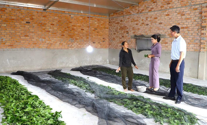 Sinh kế mới giúp bà con đồng bào dân tộc thiểu số ở Lâm Đồng thoát nghèo- Ảnh 1. Sinh kế mới giúp bà con đồng bào dân tộc thiểu số ở Lâm Đồng thoát nghèo- Ảnh 1.