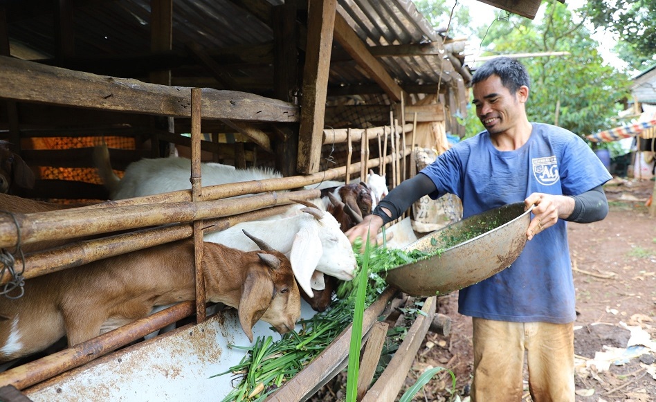 Sinh kế mới giúp bà con đồng bào dân tộc thiểu số ở Lâm Đồng thoát nghèo- Ảnh 2. Sinh kế mới giúp bà con đồng bào dân tộc thiểu số ở Lâm Đồng thoát nghèo- Ảnh 2.