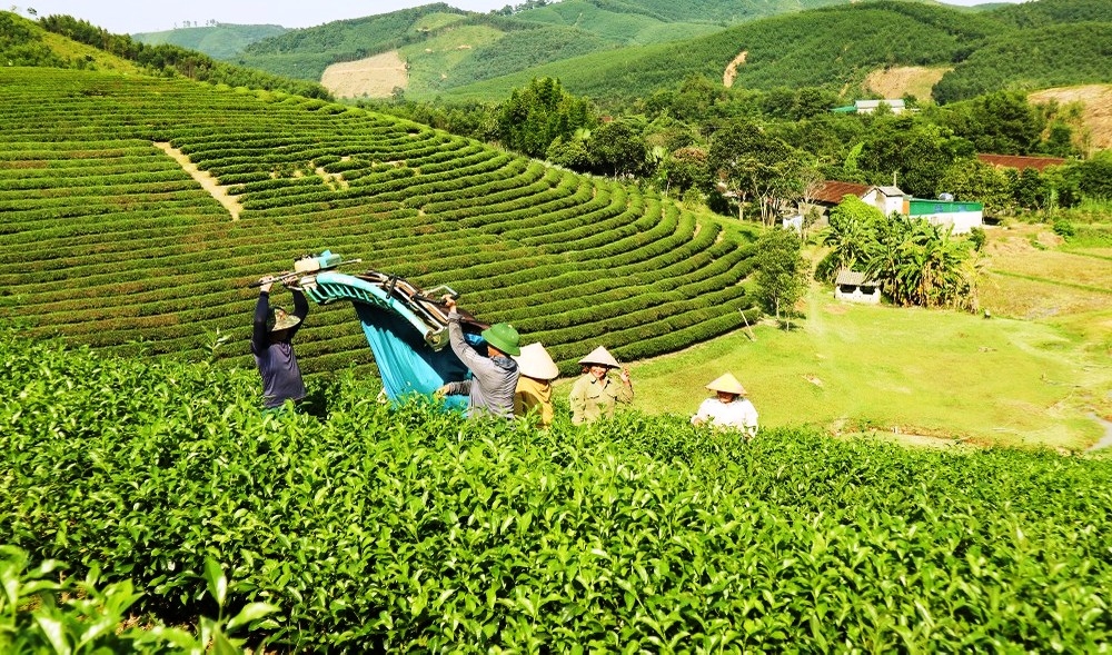 Nghệ An bứt phá vì mục tiêu giảm nghèo bền vững: Từ chính sách đến hành động- Ảnh 2. Nghệ An bứt phá vì mục tiêu giảm nghèo bền vững: Từ chính sách đến hành động- Ảnh 2.