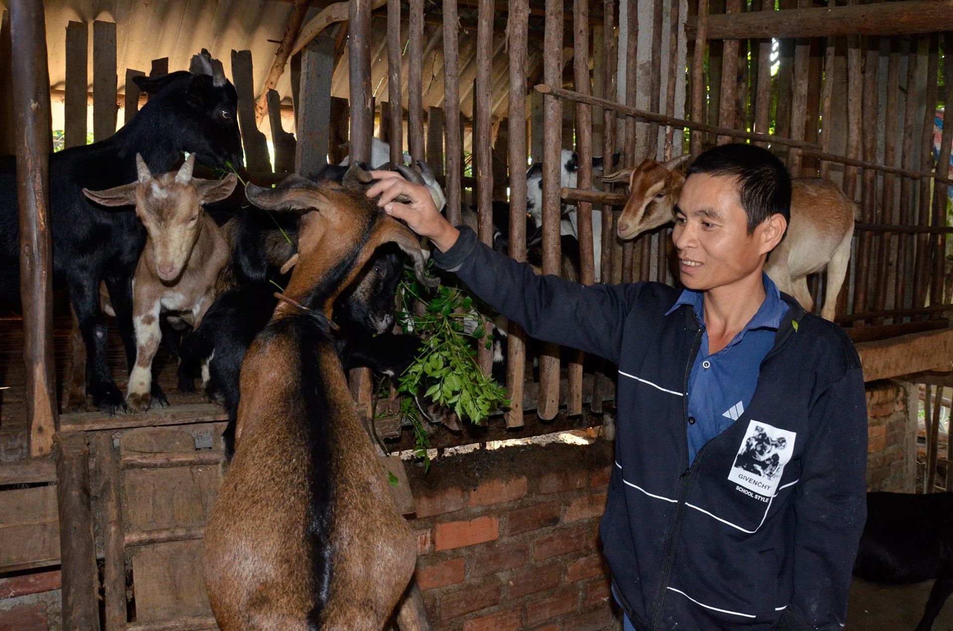Nghệ An tạo đột phá trong giảm nghèo bền vững: Giảm hơn 3,6% hộ nghèo sau ba năm thực hiện chương trình- Ảnh 1. Nghệ An tạo đột phá trong giảm nghèo bền vững: Giảm hơn 3,6% hộ nghèo sau ba năm thực hiện chương trình- Ảnh 1.