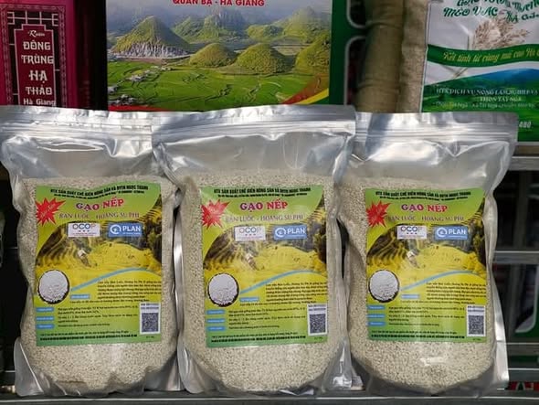 Hoàn thiện cơ sở dữ liệu và mô hình sản xuất cho ba giống lúa đặc sản miền núi phía Bắc - Ảnh 2.