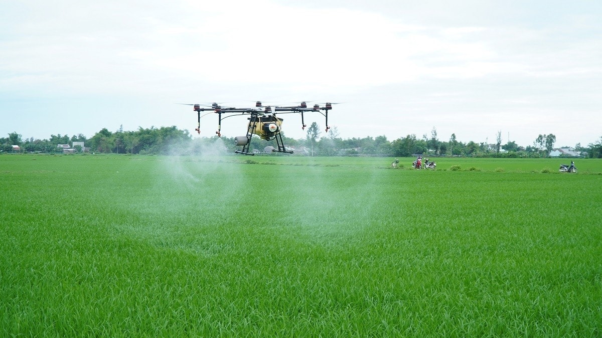 An Giang phát triển nông nghiệp ứng dụng công nghệ cao