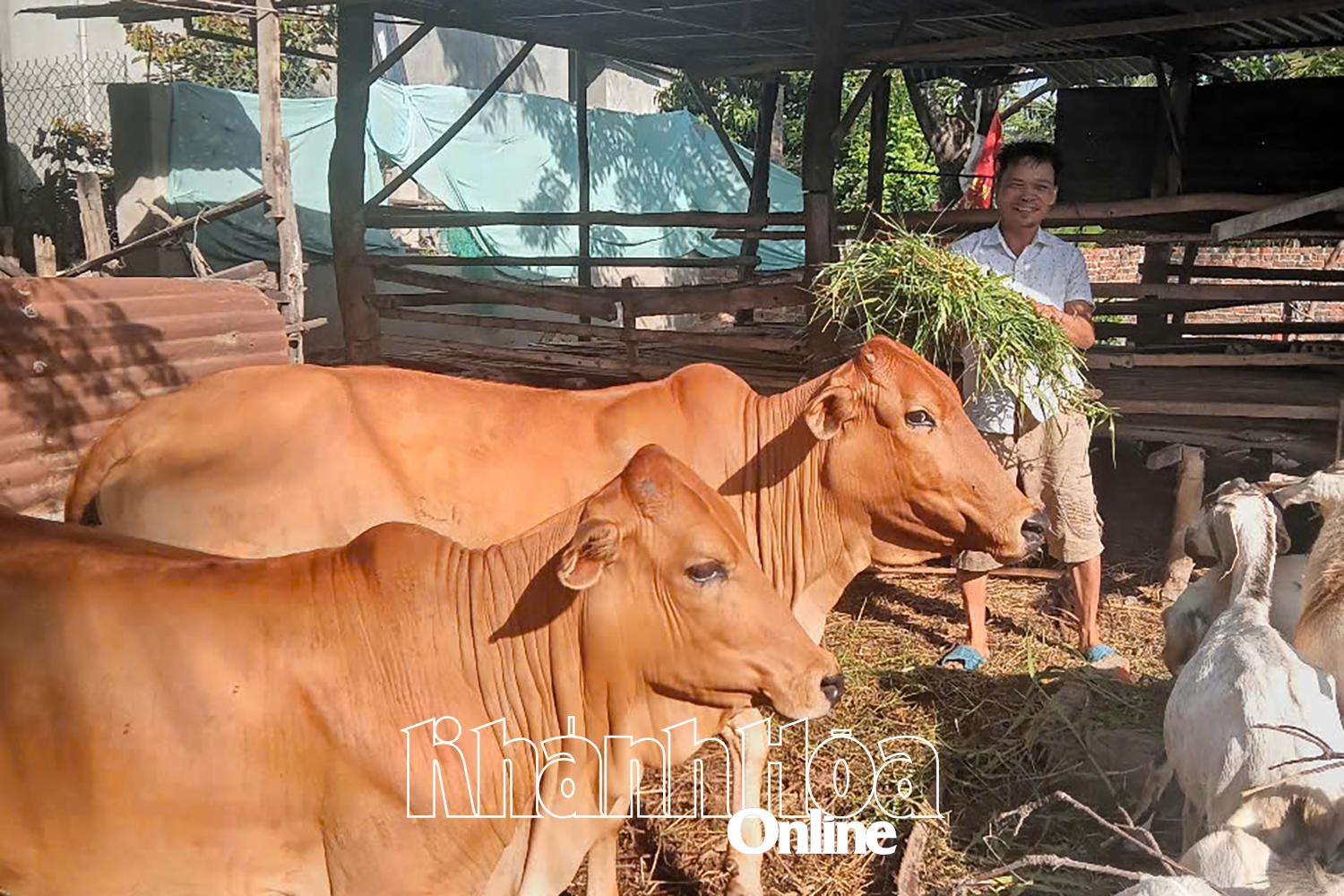 Hiệu quả công tác giảm nghèo ở Xuân Hải - Ảnh 1.