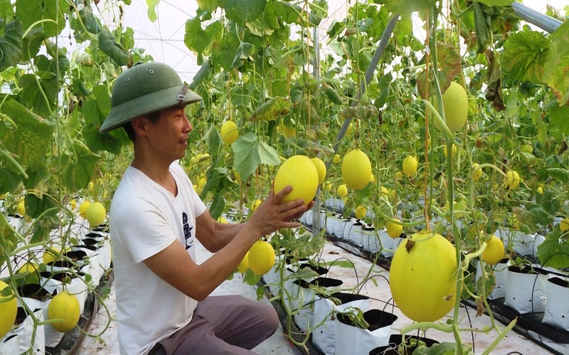 Ninh Bình: Giảm nghèo bền vững - Hành trình vì cuộc sống ấm no - Ảnh 2.