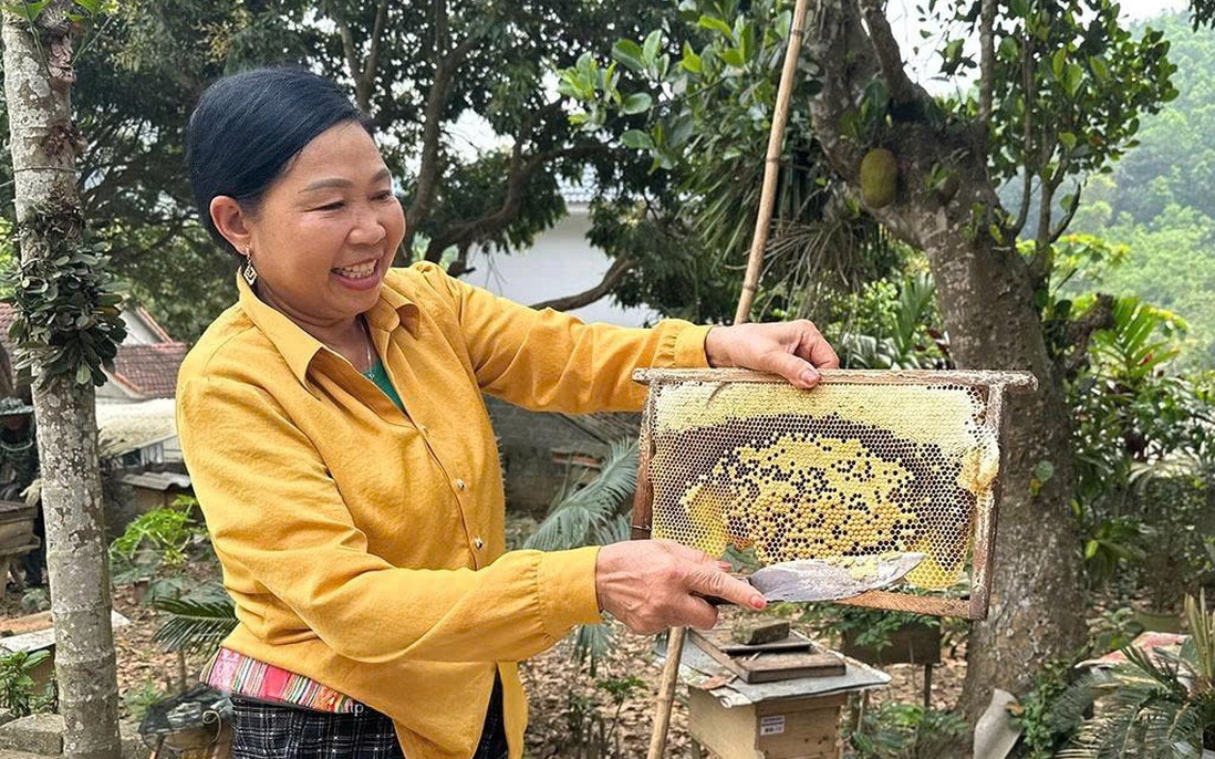 Ninh Bình nỗ lực thực hiện giảm nghèo bền vững vùng đồng bào dân tộc thiểu số - Ảnh 1.