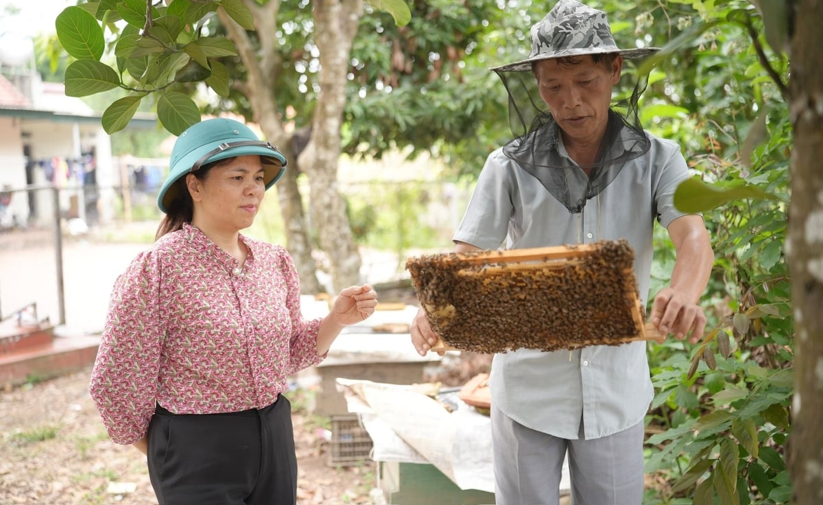 Giảm nghèo bền vững ở Sơn Động [Bài 4]: Bứt phá trong hành trình giảm nghèo - Ảnh 3.