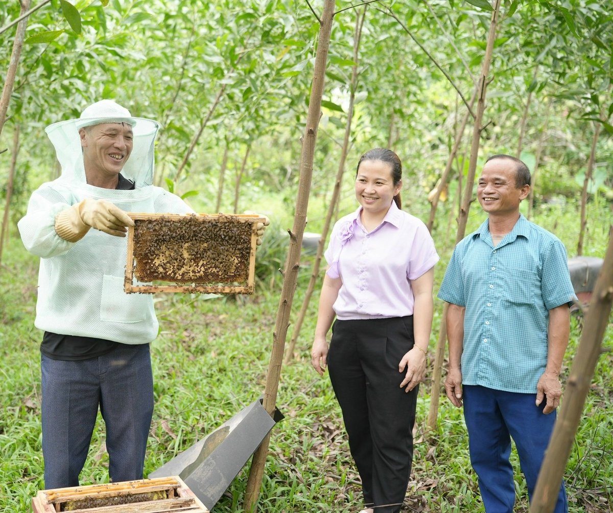 Giảm nghèo bền vững ở Sơn Động [Bài 2]: Nuôi ong mở lối thoát nghèo - Ảnh 1.