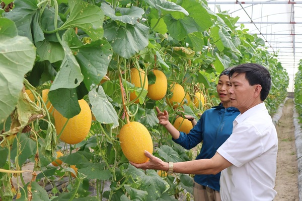 H&agrave; Tĩnh tuyển chọn 7 nhiệm vụ khoa học, c&ocirc;ng nghệ v&agrave; đổi mới s&aacute;ng tạo năm 2026- Ảnh 1.