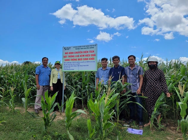 Gia Lai ứng dụng tiến bộ kỹ thuật nâng hiệu quả sản xuất vùng đồng bào dân tộc thiểu số- Ảnh 1.