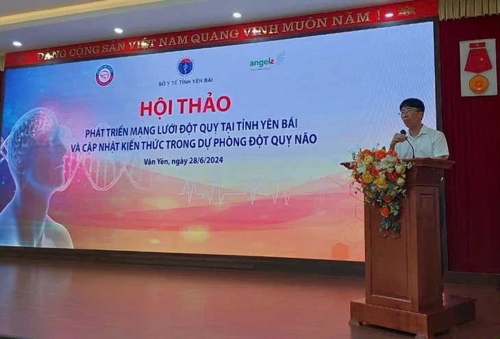 Nâng cao năng lực điều trị tai biến mạch máu não tại địa phương- Ảnh 1.