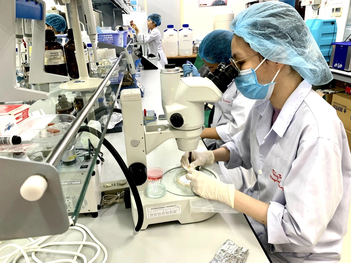 Khẳng định vị thế tri thức Việt Nam qua công bố quốc tế- Ảnh 1. Khẳng định vị thế tri thức Việt Nam qua công bố quốc tế- Ảnh 1.