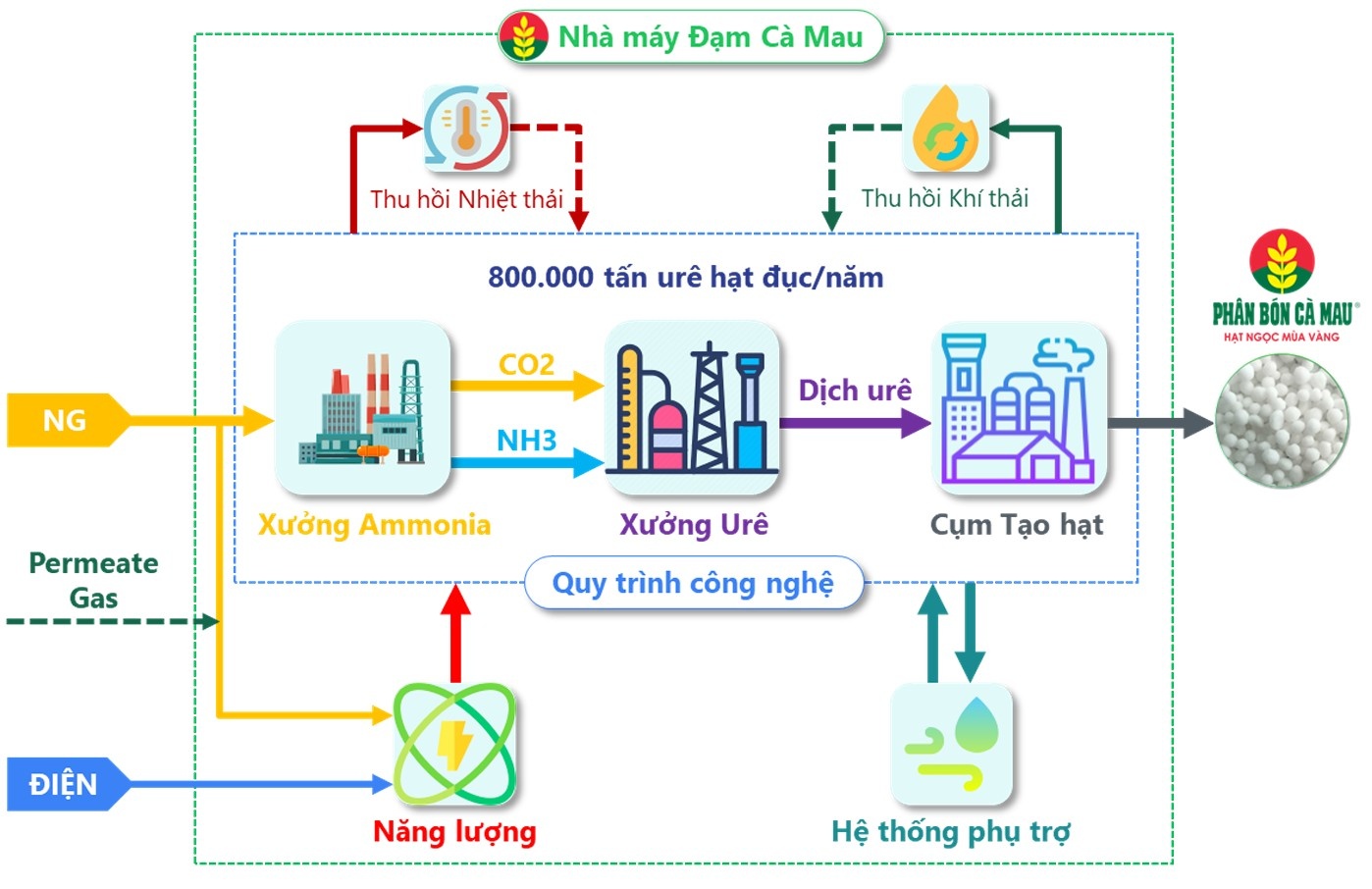 Nh&agrave; m&aacute;y Đạm C&agrave; Mau vươn Top 10% nh&agrave; m&aacute;y ur&ecirc; hiệu quả nhất to&agrave;n cầu- Ảnh 1.