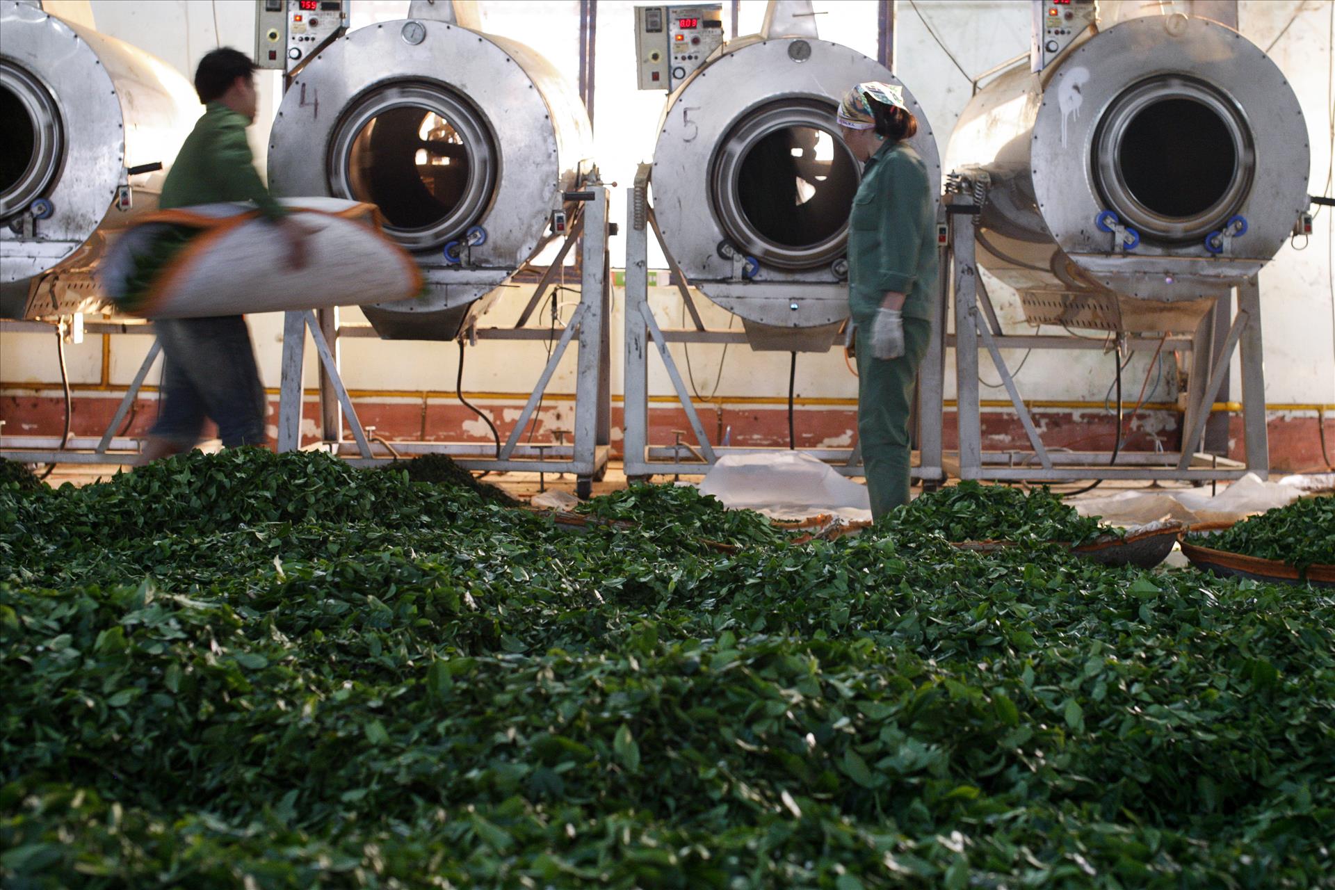 Tầm nhìn chiến lược của Nghị quyết 57 cho nông nghiệp Việt Nam: Sơn La đột phá trong phát triển nông nghiệp công nghệ cao - Ảnh 6.