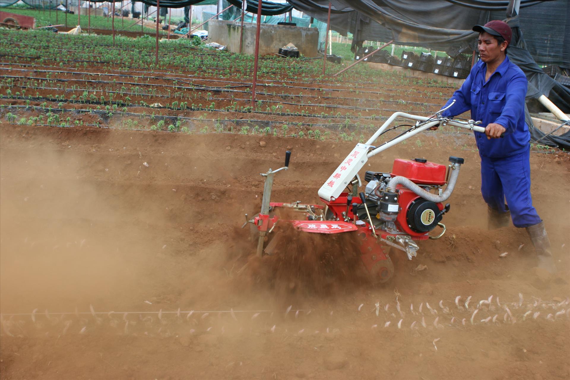 Tầm nhìn chiến lược của Nghị quyết 57 cho nông nghiệp Việt Nam: Sơn La đột phá trong phát triển nông nghiệp công nghệ cao - Ảnh 14.