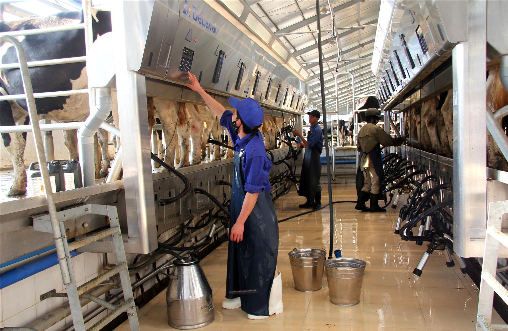 Tầm nhìn chiến lược của Nghị quyết 57 cho nông nghiệp Việt Nam: Sơn La đột phá trong phát triển nông nghiệp công nghệ cao - Ảnh 12.