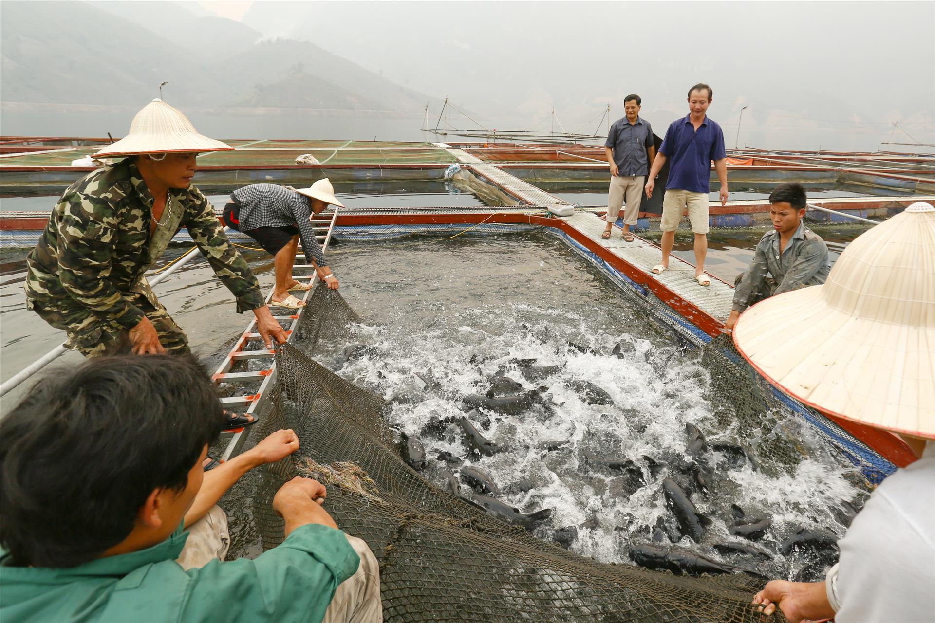 Tầm nhìn chiến lược của Nghị quyết 57 cho nông nghiệp Việt Nam: Sơn La đột phá trong phát triển nông nghiệp công nghệ cao - Ảnh 18.