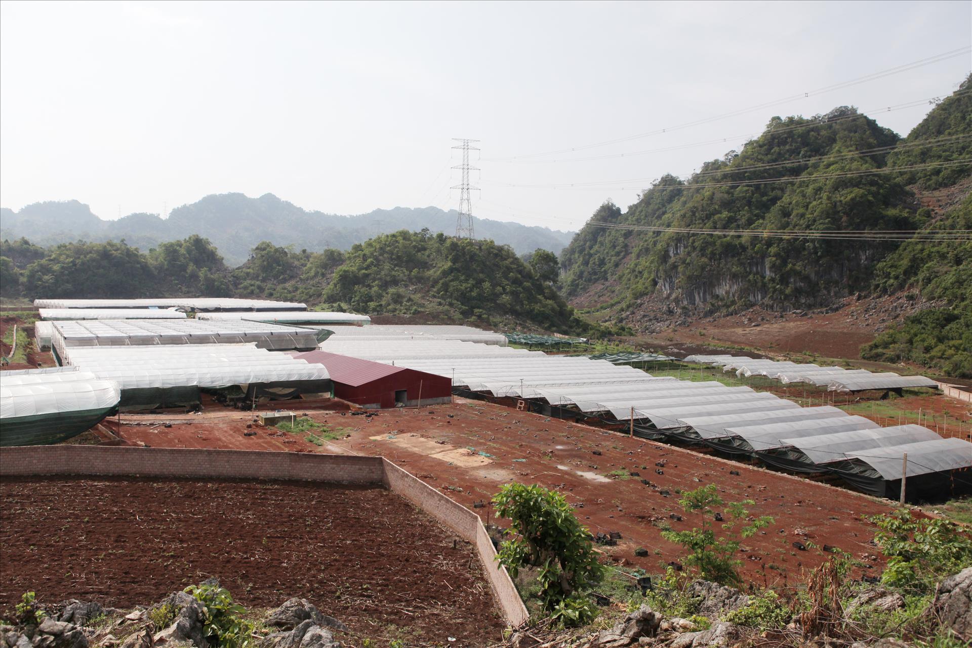 Tầm nhìn chiến lược của Nghị quyết 57 cho nông nghiệp Việt Nam: Sơn La đột phá trong phát triển nông nghiệp công nghệ cao - Ảnh 19.