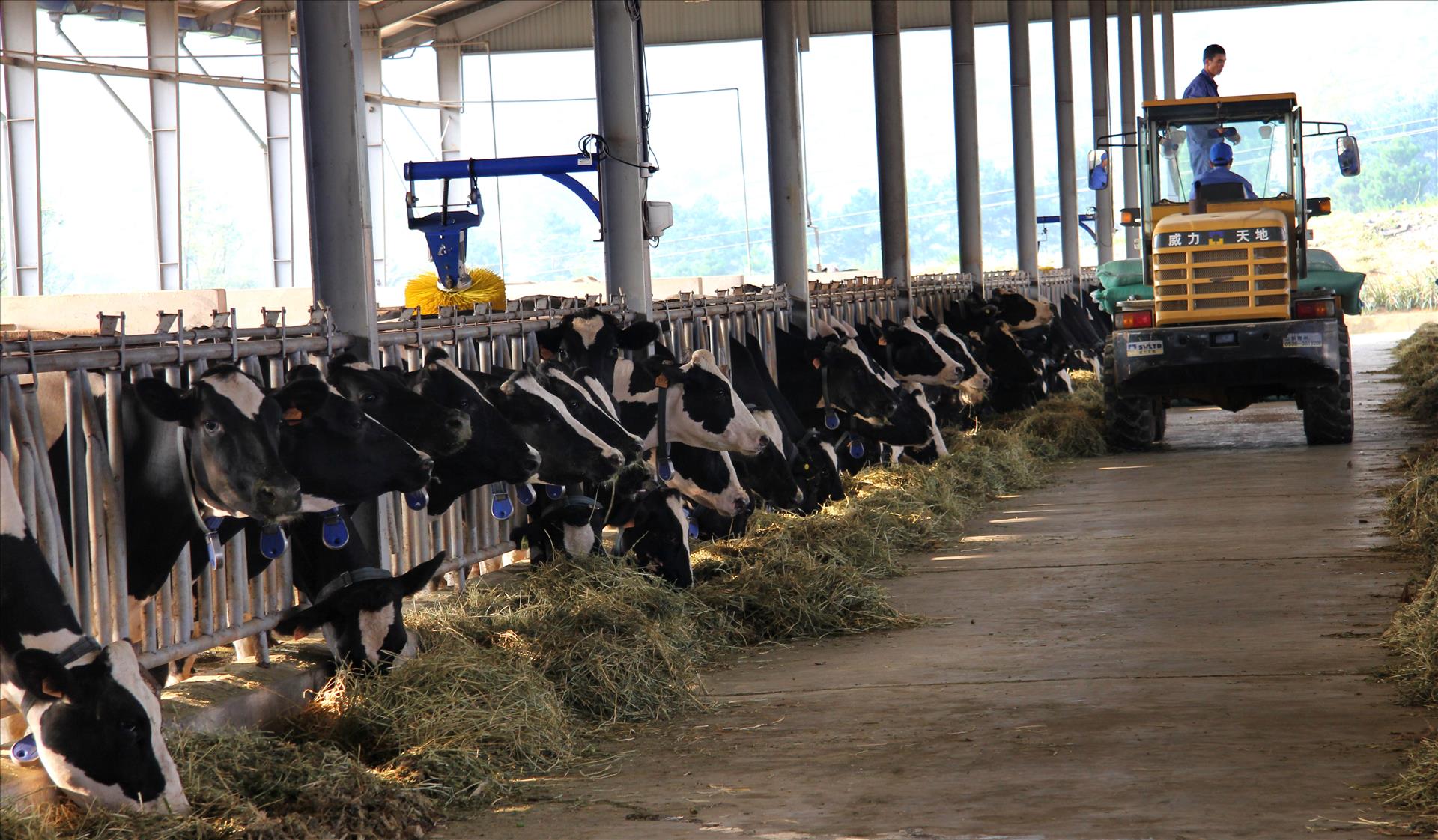 Tầm nhìn chiến lược của Nghị quyết 57 cho nông nghiệp Việt Nam: Sơn La đột phá trong phát triển nông nghiệp công nghệ cao - Ảnh 9.