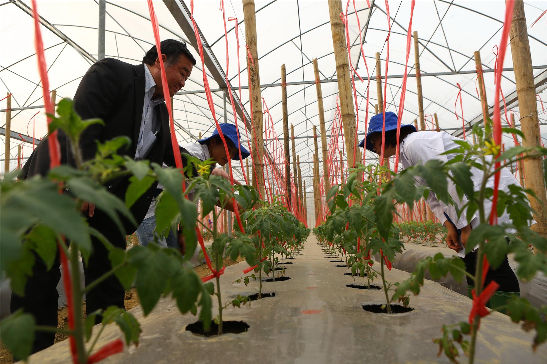 Tầm nhìn chiến lược của Nghị quyết 57 cho nông nghiệp Việt Nam: Sơn La đột phá trong phát triển nông nghiệp công nghệ cao - Ảnh 16.