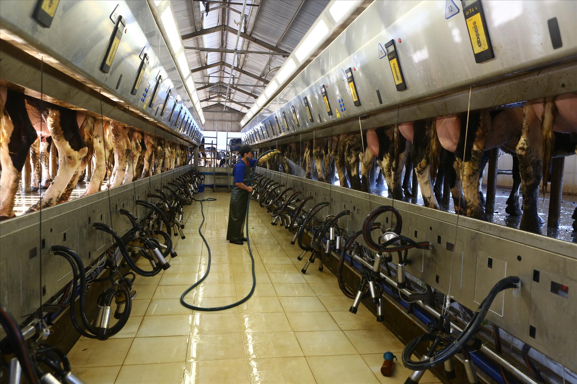 Tầm nhìn chiến lược của Nghị quyết 57 cho nông nghiệp Việt Nam: Sơn La đột phá trong phát triển nông nghiệp công nghệ cao - Ảnh 11.