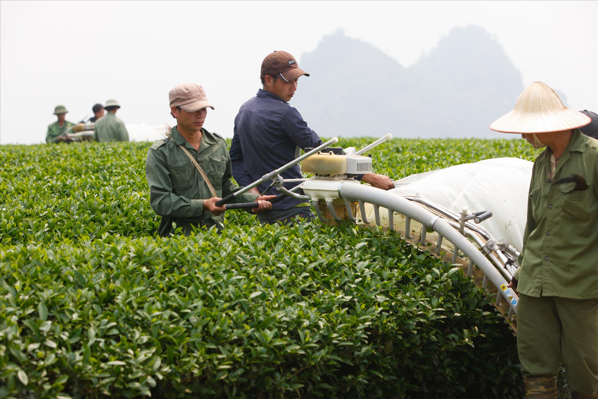 Tầm nhìn chiến lược của Nghị quyết 57 cho nông nghiệp Việt Nam: Sơn La đột phá trong phát triển nông nghiệp công nghệ cao - Ảnh 4.