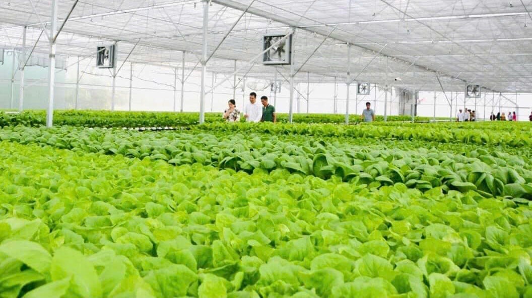 Tây Ninh thúc đẩy đổi mới sáng tạo, chuyển giao công nghệ: Từ định hướng chiến lược đến hành động thực tiễn- Ảnh 1. Tây Ninh thúc đẩy đổi mới sáng tạo, chuyển giao công nghệ: Từ định hướng chiến lược đến hành động thực tiễn- Ảnh 1.