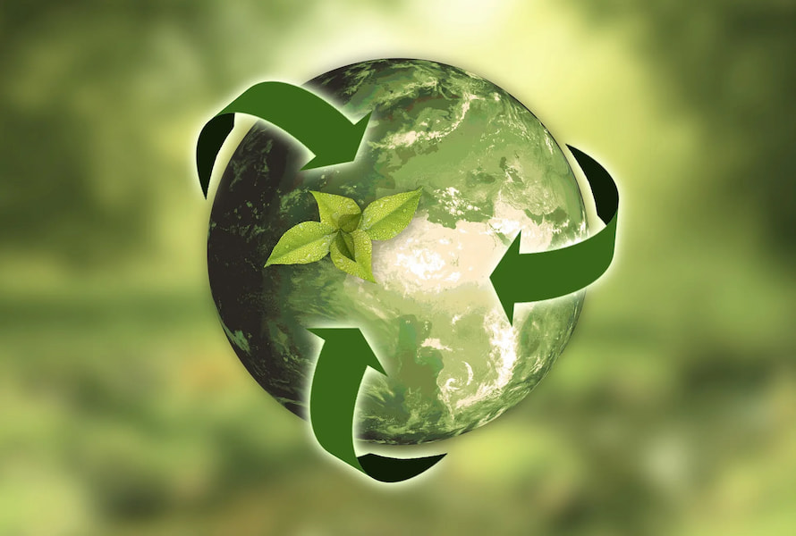 TCVN ISO 14068-1:2025: Chuẩn h&oacute;a lộ tr&igrave;nh trung h&ograve;a carbon theo hướng minh bạch- Ảnh 1.