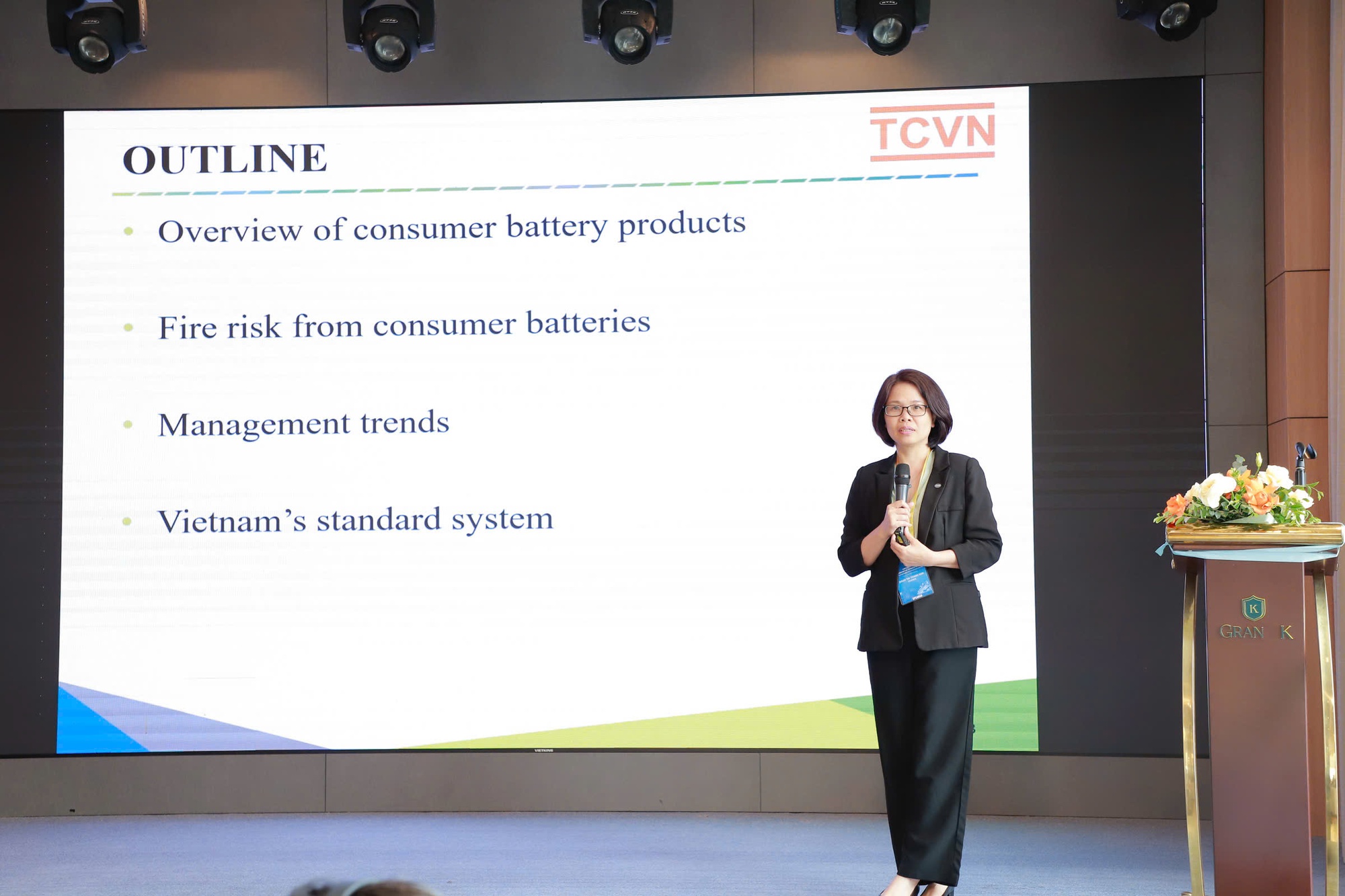 Pin ti&ecirc;u d&ugrave;ng v&agrave; b&agrave;i to&aacute;n ti&ecirc;u chuẩn trong bối cảnh chuyển đổi năng lượng- Ảnh 1.