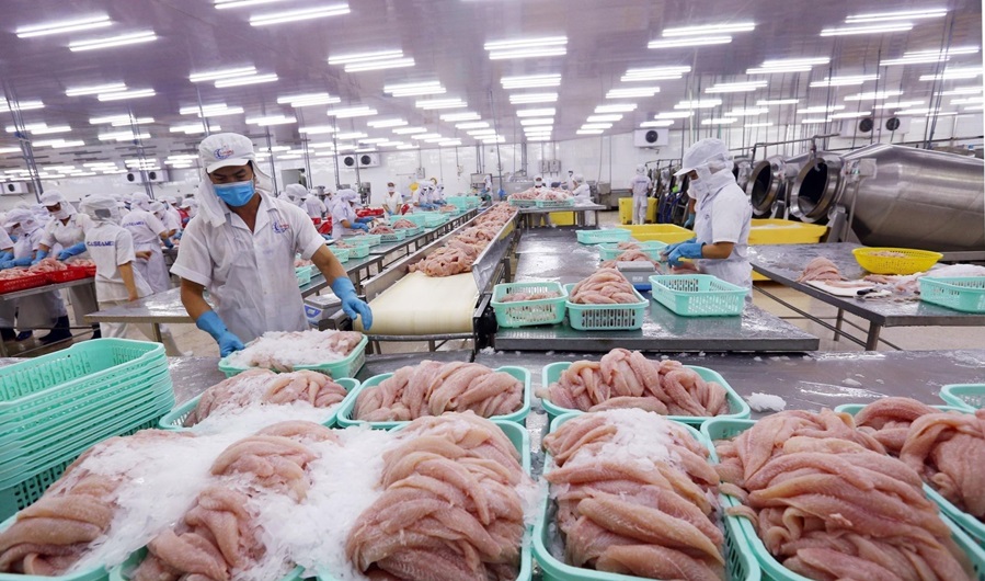 Cụ thể h&oacute;a lộ tr&igrave;nh ph&aacute;t triển năng lượng nguy&ecirc;n tử từ quy hoạch đến h&agrave;nh động- Ảnh 1.