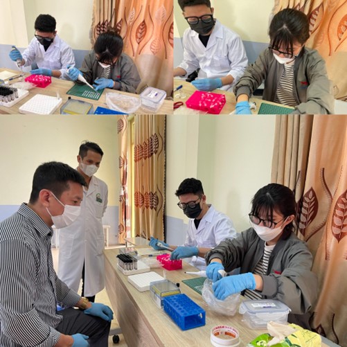 Ph&aacute;t triển que thử LFIA theo d&otilde;i t&aacute;i ph&aacute;t v&agrave; điều trị ung thư- Ảnh 4.