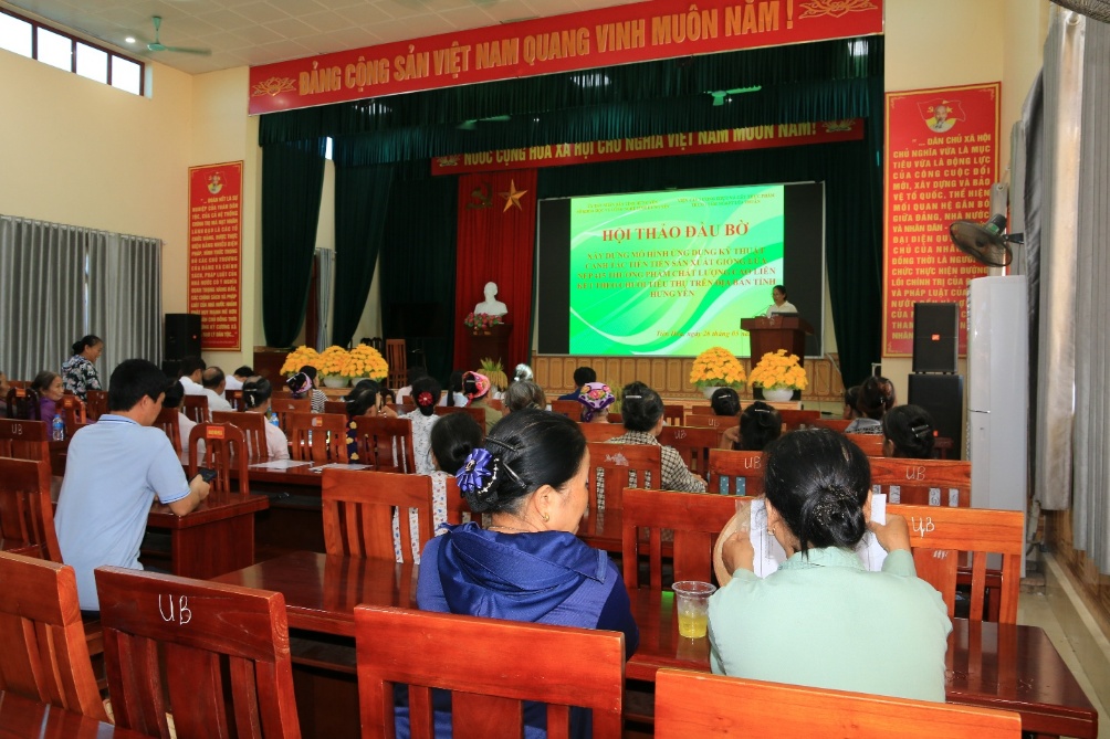 M&ocirc; h&igrave;nh l&uacute;a Nếp 415 mở hướng sản xuất n&ocirc;ng nghiệp hiện đại- Ảnh 1.