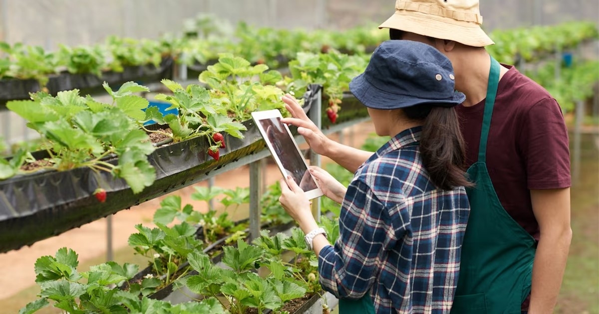 N&ocirc;ng th&ocirc;n chuyển m&igrave;nh nhờ số h&oacute;a: Từ nền tảng hạ tầng đến h&igrave;nh th&agrave;nh &ldquo;c&ocirc;ng d&acirc;n số&rdquo;- Ảnh 1.