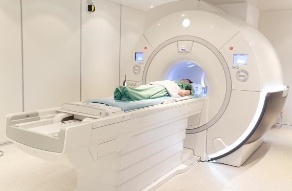 Nghệ An triển khai Chiến lược ph&aacute;t triển, ứng dụng năng lượng nguy&ecirc;n tử v&igrave; mục đ&iacute;ch h&ograve;a b&igrave;nh - Ảnh 1.