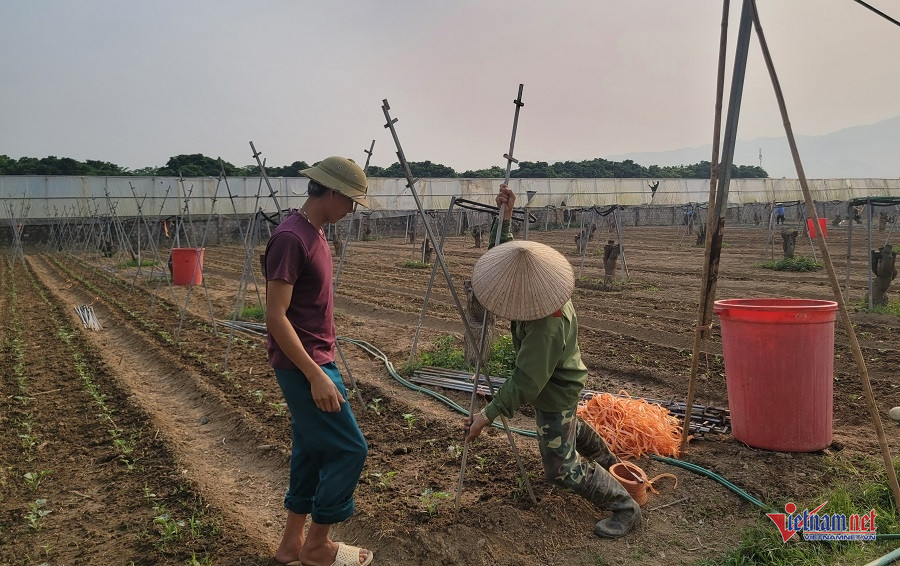 Nghị quyết 57 - mở ra cơ hội mới để Ph&ugrave; Y&ecirc;n giảm ngh&egrave;o th&ocirc;ng tin- Ảnh 1.