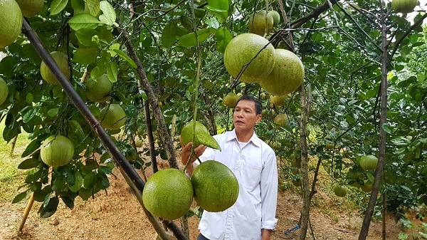 Sở hữu trí tuệ: “Tấm hộ chiếu” nâng tầm giá trị đặc sản Đất Tổ- Ảnh 1.
