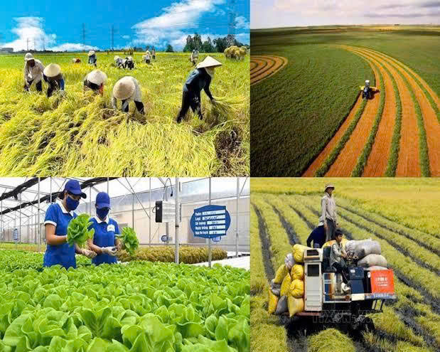 Khoa học, c&ocirc;ng nghệ n&acirc;ng cao gi&aacute; trị n&ocirc;ng sản, tăng sức cạnh tranh của ng&agrave;nh n&ocirc;ng nghiệp.- Ảnh 1.