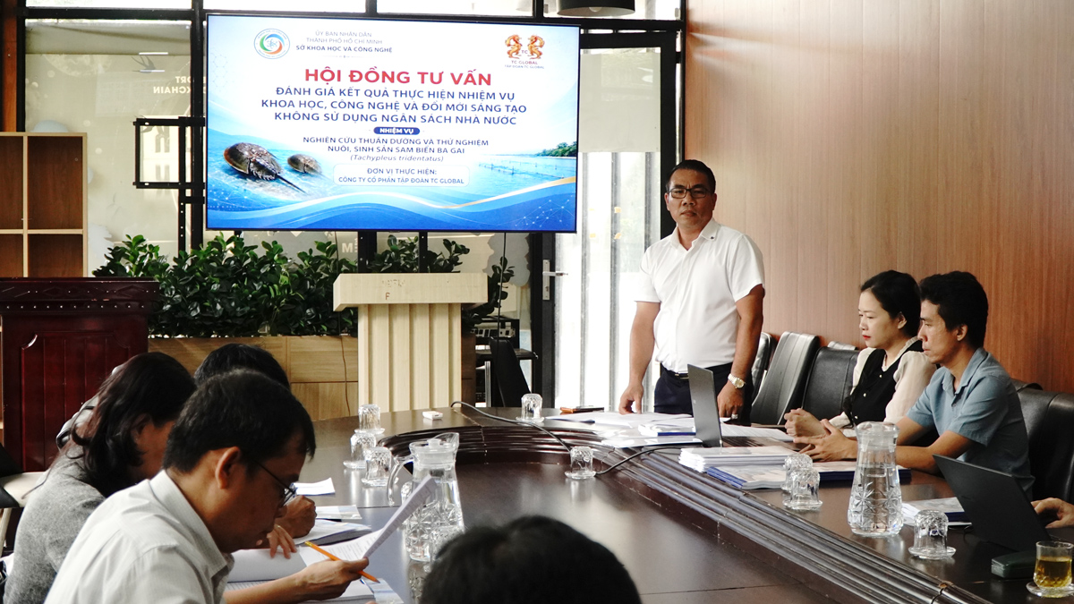 Thành công trong thuần dưỡng và thử nghiệm nuôi, sinh sản Sam biển ba gai- Ảnh 1.
